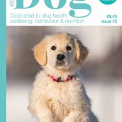 Edition Dog - Issue 75 2025