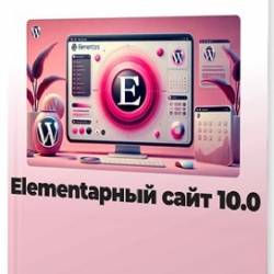 Element  10.0 ( ) (2024) 