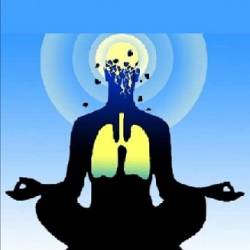 [MikeD]  ,    ,       (2025)