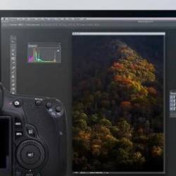 Adobe Photoshop for Photographers: Beyond The Basics