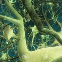 Deep Learning: Recurrent Neural NetWorks in Python 2021