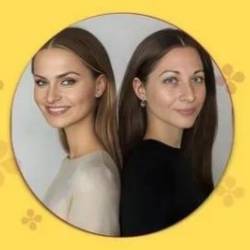 The Ultimate Phrasal Verbs Bootcamp