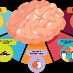 The Ultimate Way To Prevent Dementia & Alzheimer's Disease