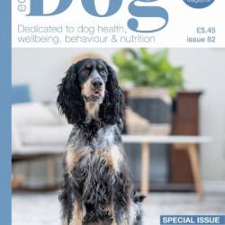 Edition Dog - Issue 82 2025