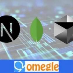 Build Omegle Clone In 1 Day - Next Js, Mongodb, Cursor Ai