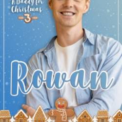 A Daddy for Christmas 3: Rowan - Colette Davison