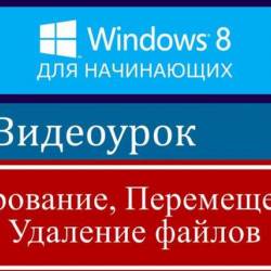      Windows 8 (2013)