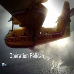  "" / Operation Pelican (2010-2012) HDTVRip (720p)