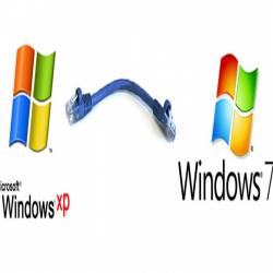     XP  Win 7 (2013)