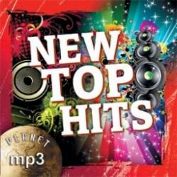 New Top Hits (2014) MP3