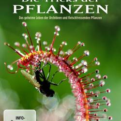 Ҹ  .    / Die Tricks der Pflanzen - T&#246;dliche Fallen (2013) SATRip