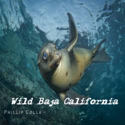    / Wild Baja California (2014) HDTVRip (720p)