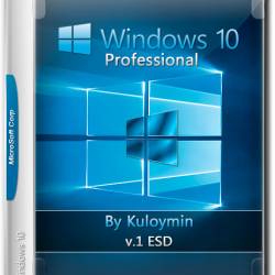 Windows 10 Professional x64 by Kuloymin v.1 ESD (RUS/2016)