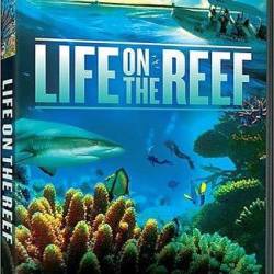      (1-3   3) / Life on the Barrier Reef (2014) HDTVRip (AVC)