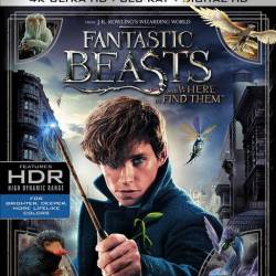       / Fantastic Beasts and Where to Find Them (2016) HDRip/2100Mb/1400Mb/700Mb/BDRip 720p/BDRip 1080p/