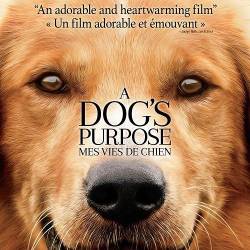   / A Dog's Purpose (2017) HDRip/BDRip 720p/BDRip 1080p/ 