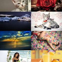 Wallpapers Mix 599