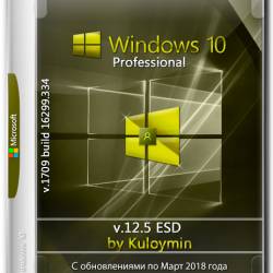 Windows 10 Pro x64 1709.16299.334 by Kuloymin v.12.5 ESD (RUS/2018)