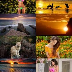 Wallpapers Mix 694