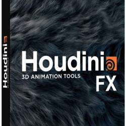 SideFX Houdini FX 17.0.459 (ENG)