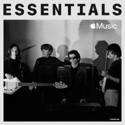 The Velvet Underground - Essentials (2022)