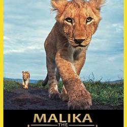 ,   / Malika The Lion Queen (2022) HDTVRip 720p