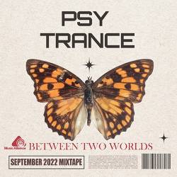 Between Two Worlds (2022) Mp3 - Psychedelic Trance, Electro, Instrumental!