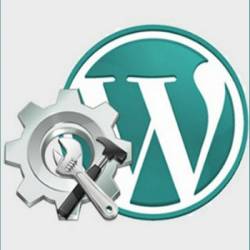    CMS WordPress () -               CMS WordPress!