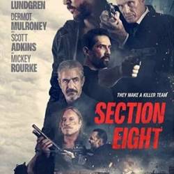   / Section 8 (2022) HDRip-AVC