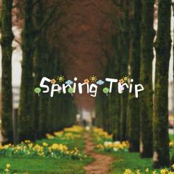 Spring trip (2024) FLAC - Pop