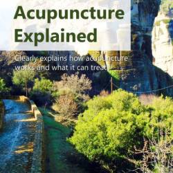 Acupuncture Explained: Clearly explains how acupuncture Works and what it can treat - Fletcher Kovich