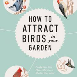 How to Attract Birds to Your Garden: Foods they like, plants they love, shelter they need - Dan Rouse