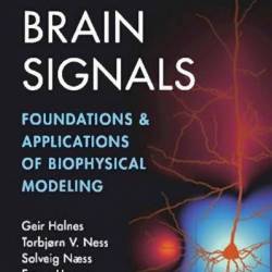 Electric Brain Signals: Foundations and Applications of Biophysical Modeling - Geir Halnes