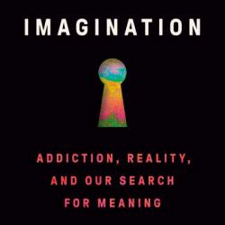 The Captive Imagination: Addiction, Reality, and Our Search for Meaning - Elias Dakwar