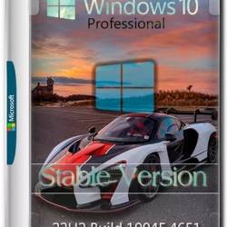 Windows 10 Pro 22H2 Build 19045.4651 Stable x64 (Ru/2024)