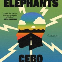 Sky Full of Elephants: A Novel - Cebo Campbell