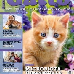 Gatto Magazine (Agosto-Settembre 2024)