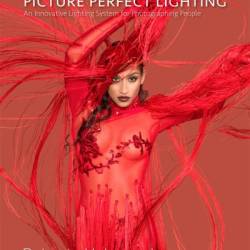 Picture Perfect Lighting: An Innovative Lighting System for Photographing People - Roberto Valenzuela