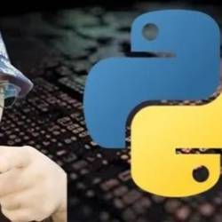 Python For Beginners: Master The Basics In 1 Hour