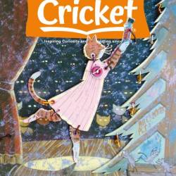 Cricket - November-December 2024