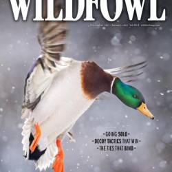 Wildfowl - December 2024 - January 2025