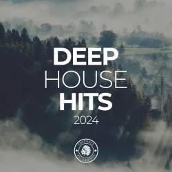 Deep House Hits 2024 (2024) FLAC - Deep House