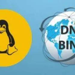 Basics of BIND DNS Server