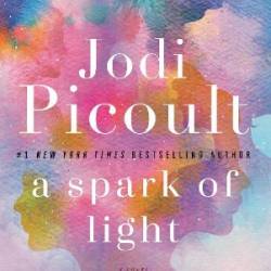 A Spark of Light: A Novel - Jodi Picoult