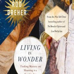 Living in Wonder: Finding Mystery and Meaning in a Secular Age - [AUDIOBOOK]