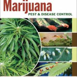 Marijuana Pest and Disease Control: How to Protect Your Plants and Win Back Your Garden - Rosenthal