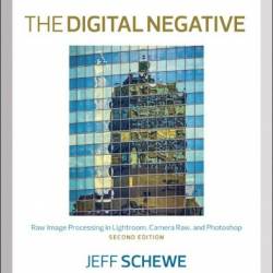 The Digital Negative - Schewe, Jeff