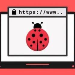 Learn Bug Bounty Hunting & Web Security Testing From Scratch