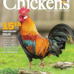 Chickens - Best of Chickens - January 2025