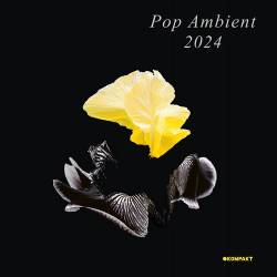 Pop Ambient 2024 (2023) FLAC - Electronic, Ambient